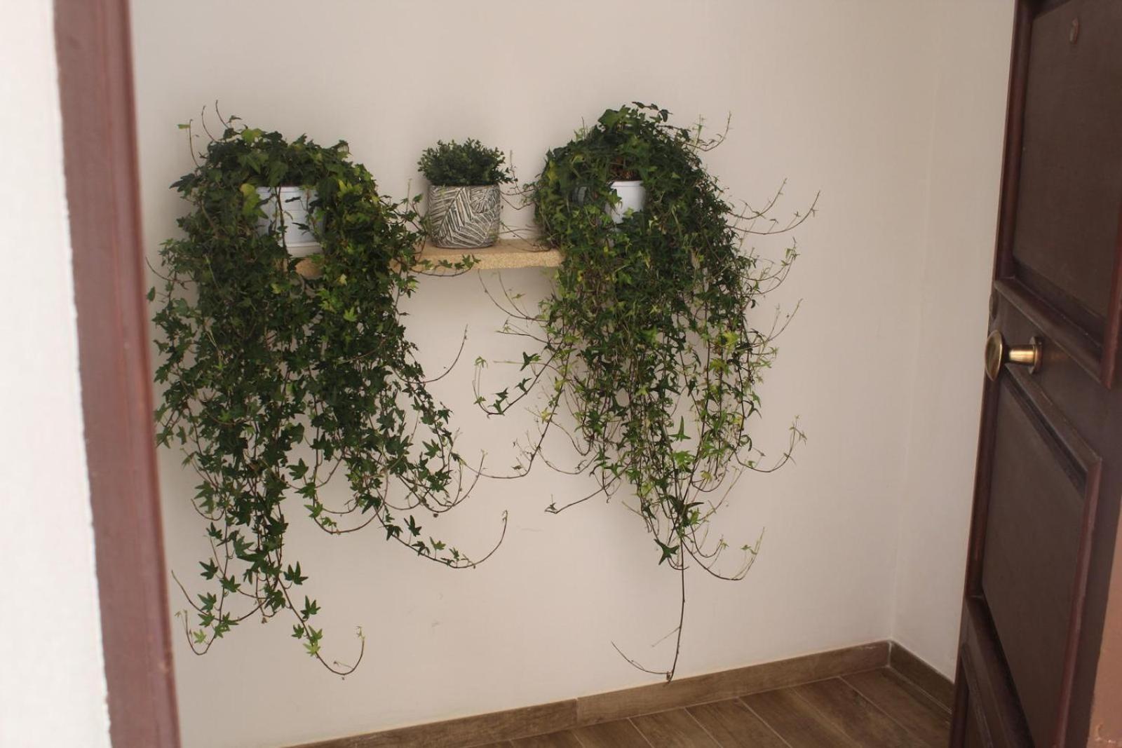 Annale Apartment Марсала Екстериор снимка
